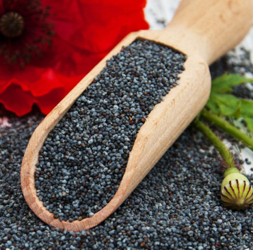 Niebieski mak vs biały mak: Zastosowania i korzyści w piekarnictwie i cukiernictwie