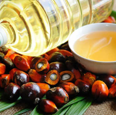 Zrównoważona produkcja i użytkowanie oleju palmowego: wyzwania i możliwości